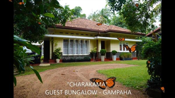 CHARAKAMA Guest Bungalow - GAMPAHA, 예약 게스트하우스 Minuwangoda Gampaha District