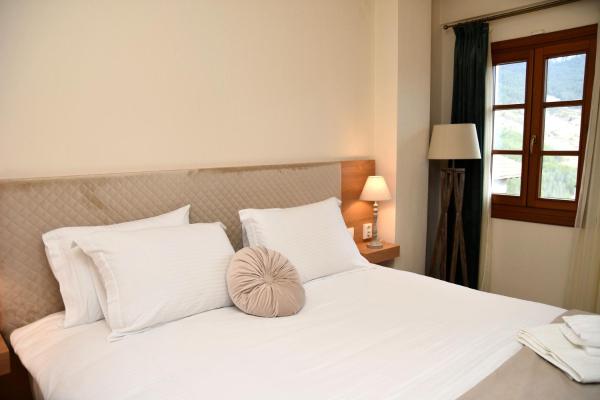 NUCA GUESTHOUSE, 예약 게스트하우스 멧소보 Metsovo Ski