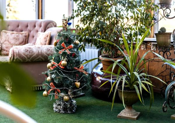 Villa-Park Guest house