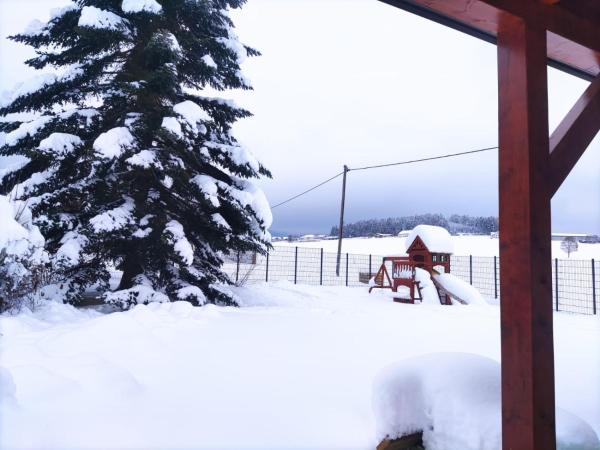 Ferienhaus am Hochficht Mühlviertel in Oberösterreich, 예약 빌라 Freundorf Upper Austria
