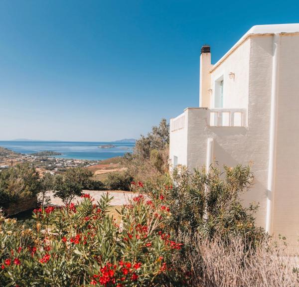 Villa Il Paradiso Andros, 예약  Gavrio Andros Island