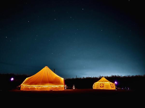 The Follies Glamping, 예약 캠핑장 Kent 캠핑 & 글램핑, 캠핑장