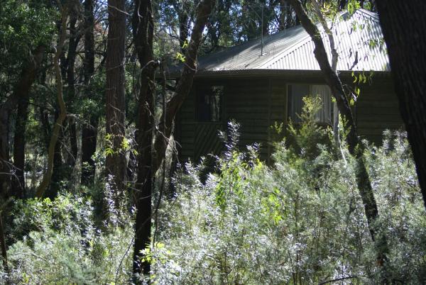 Twin Falls Bush Cottages, 예약 게스트하우스 Kangaroo Valley South Coast