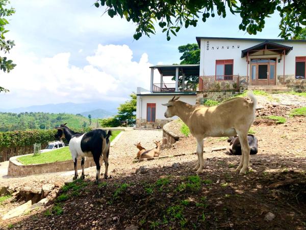 Amazi Land Home and Farm Stay, 예약  Kibuye Gitsi