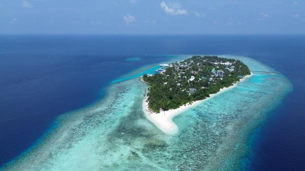 Beach view travel, 예약  Omadhoo 
