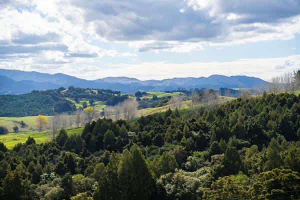 Titoki Downs Farm Stay, 예약  Titoki Northland