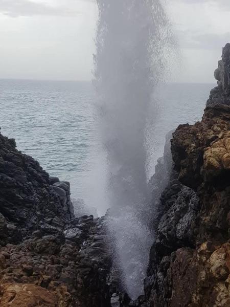 White house, 예약  Tangalle Hambantota District