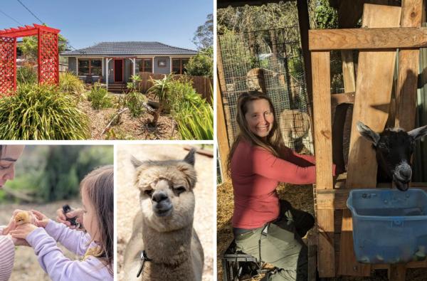 Blue Mountains Urban Farm Stay near Sydney, 예약  Hazelbrook 뉴사우스웨일즈