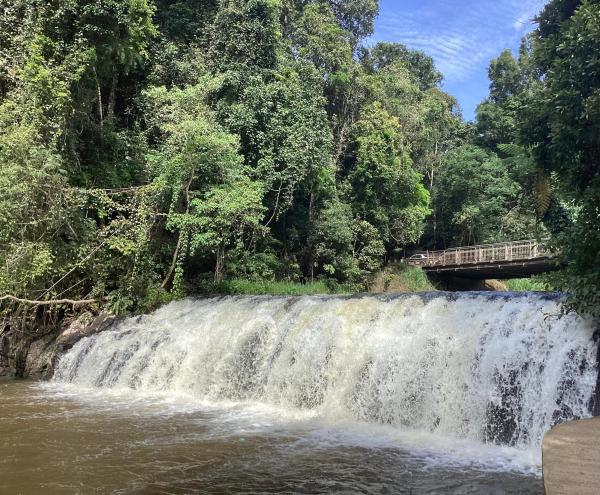 Malanda Falls Retreat, 예약  말란다 퀸즈랜드
