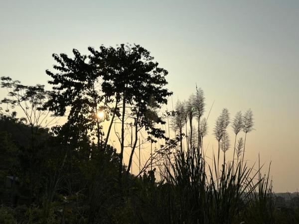 Teplong - The Paix, Kaziranga, 예약  Assam 조식 포함 호텔, 아침 식사