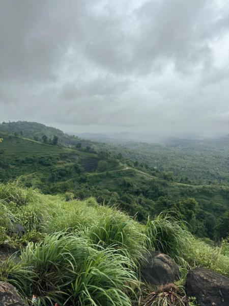 Banasura Wayanad, 예약  Meenangadi Wayanad