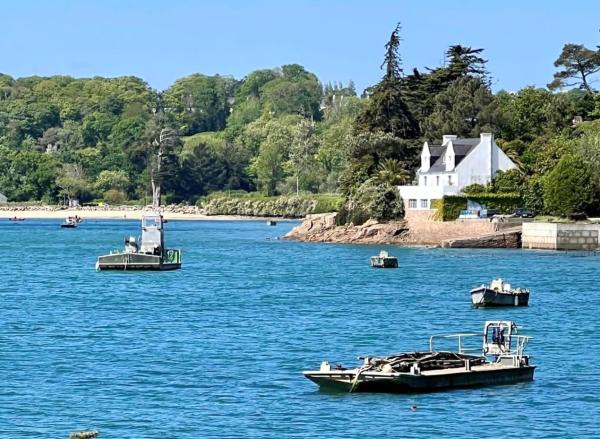 BB les pieds dans L\eau CARANTEC, 예약  Carantec Finistère