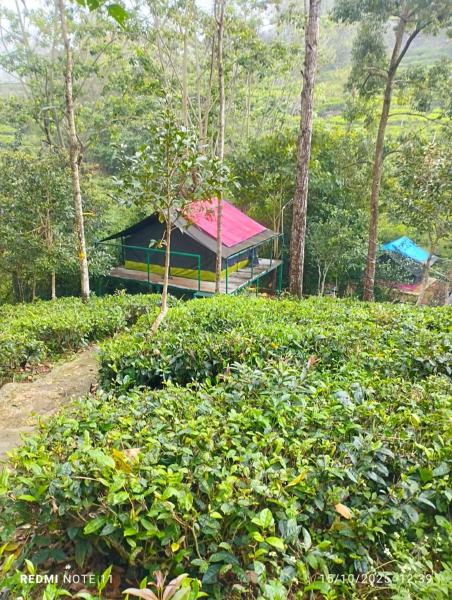 Organic Farmers Tent & Trekking, 예약  Yedapalli Tamil Nadu
