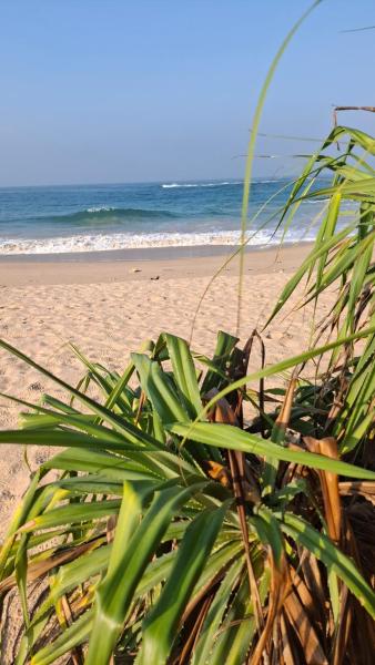 Jana Sri Lanka Villa Ambalangoda 2, 예약  Ambalangoda Galle District