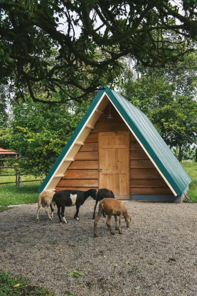 Musasana Wellness Farm, 예약  Puerto Viejo 에레디아