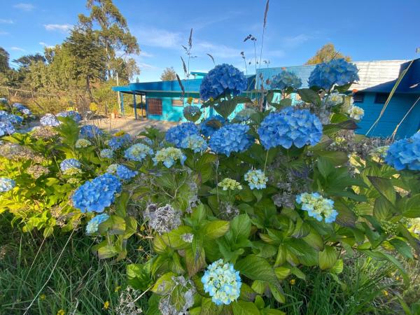 Montahue De Nercon Hostel, 예약 호스텔 Chiloe 호스텔, 호스텔