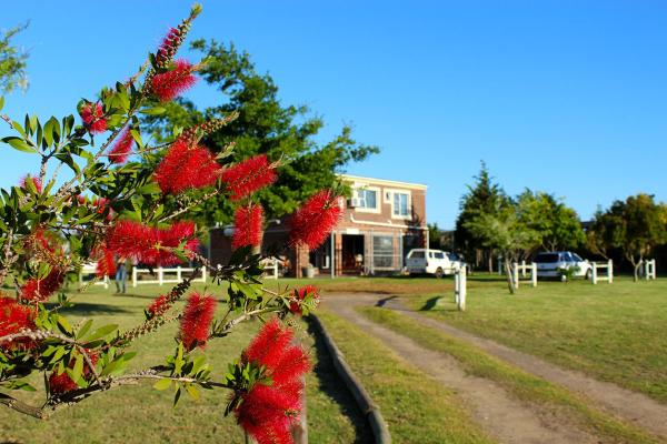 African Adventures Accommodation, 예약  Joostenberg Vlakte Western Cape